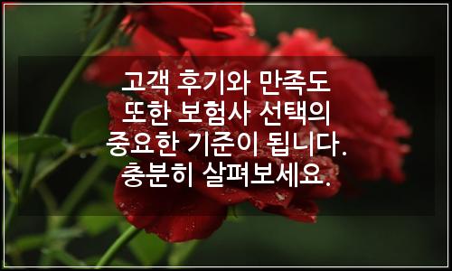 오늘의 이미지