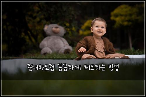 현대차보험 꼼꼼하게 체크하는 방법