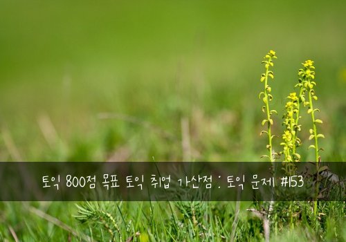 토익 800점 목표 토익 취업 가산점 : 토익 문제 #153