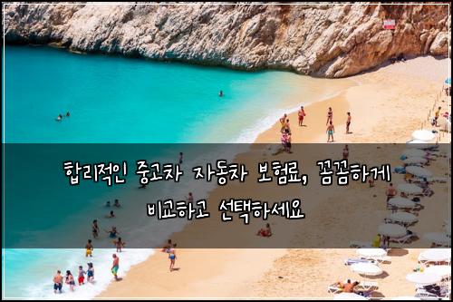  합리적인 중고차 자동차 보험료, 꼼꼼하게 비교하고 선택하세요
