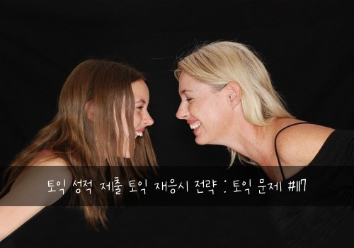 토익 성적 제출 토익 재응시 전략 : 토익 문제 #117