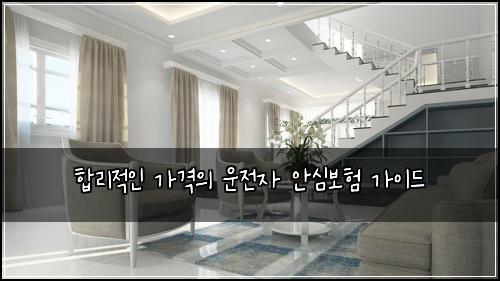  합리적인 가격의 운전자 안심보험 가이드