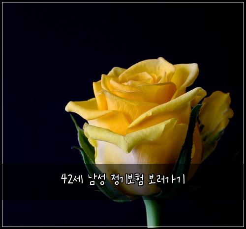 42์ธ ๋จ์ฑ ์ ๊ธฐ๋ณดํ ๋ณด๋ฌ๊ฐ๊ธฐ