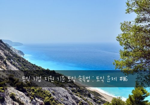 토익 기업 지원 기준 토익 속독법 : 토익 문제 #116