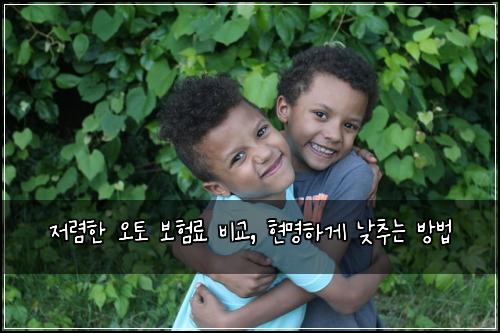  저렴한 오토 보험료 비교, 현명하게 낮추는 방법