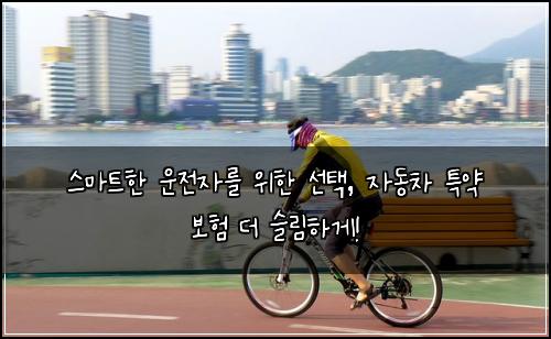  스마트한 운전자를 위한 선택, 자동차 특약 보험 더 슬림하게!