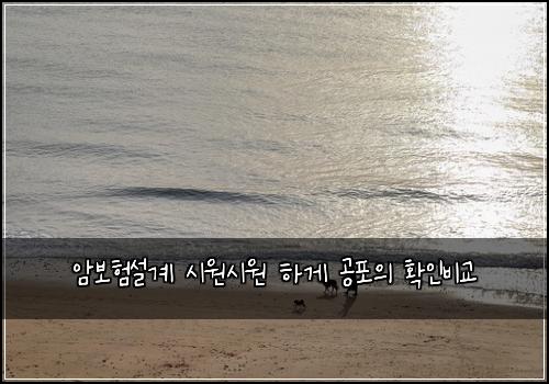 암보험설계 시원시원 하게 공포의 확인비교