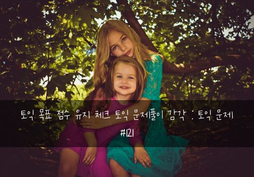 토익 목표 점수 유지 체크 토익 문제풀이 감각 : 토익 문제 #121