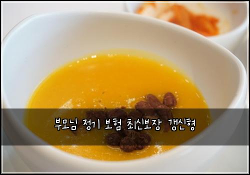 부모님 정기 보험 최신보장  갱신형 