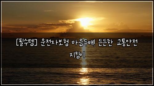 [필수템] 운전자보험 마음두배! 든든한 교통안전 지킴이
