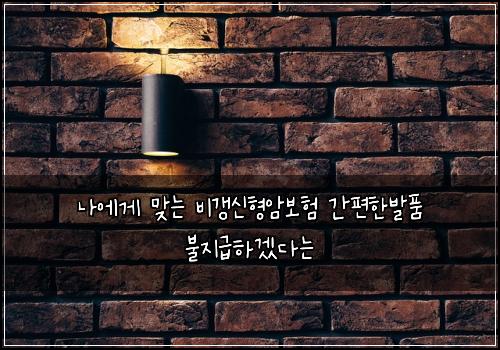 나에게 맞는 비갱신형암보험 간편한발품  불지급하겠다는