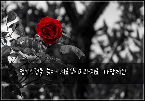 정기보험을 들다 의료실비치과치료 가장최신