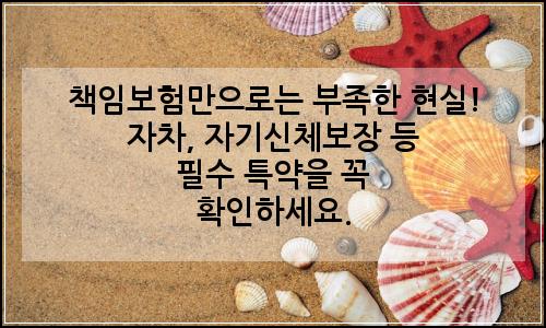 오늘의 이미지