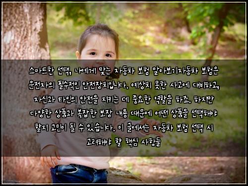  스마트한 선택, 나에게 맞는 자동차 보험 알아보기

자동차 보험은 운전자의 필수적인 안전장치입니다. 예상치 못한 사고에 대비하고, 자신과 타인의 안전을 지키는 데 중요한 역할을 하죠. 하지만 다양한 상품과 복잡한 보장 내용 때문에 어떤 상품을 선택해야 할지 고민이 될 수 있습니다. 이 글에서는 자동차 보험 선택 시 고려해야 할 핵심 사항들