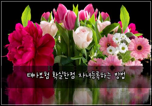 태아보험 확실한점  자녀등록하는 방법