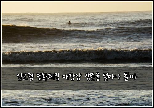 ์๋ณดํ ์ ํ์ฒดํน ๋์ฅ์ ์์กด์จ ์ผ๋ง๋ ๋ ๊น
