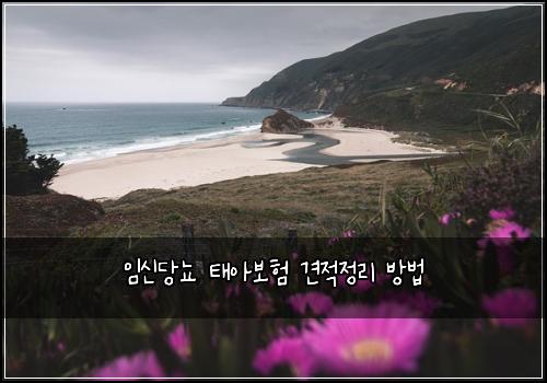 μμ λΉλ¨ νμ보ν 견μ μ 리 λ°©λ²