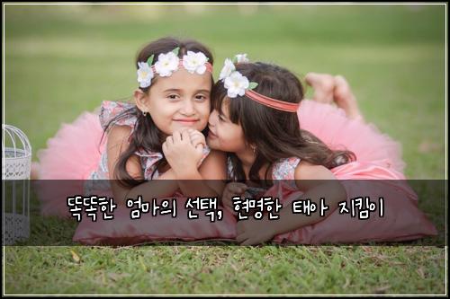  똑똑한 엄마의 선택, 현명한 태아 지킴이