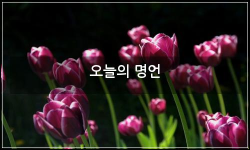 오늘의 이미지