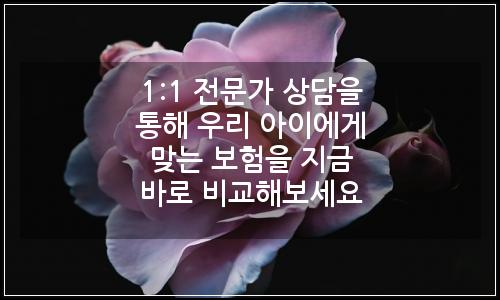 오늘의 이미지