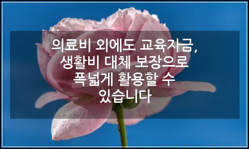 오늘의 이미지