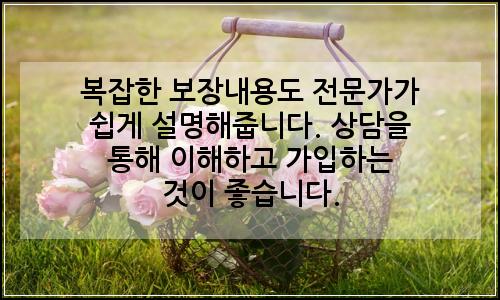 오늘의 이미지