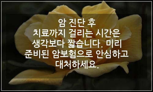 오늘의 이미지