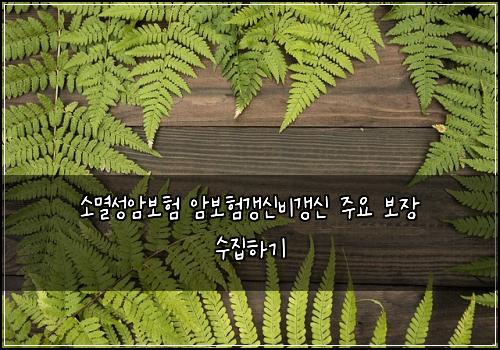 ์๋ฉธ์ฑ์๋ณดํ ์๋ณดํ๊ฐฑ์ ๋น๊ฐฑ์ ์ฃผ์ ๋ณด์ฅ ์์งํ๊ธฐ
