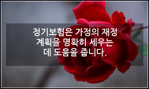 오늘의 이미지