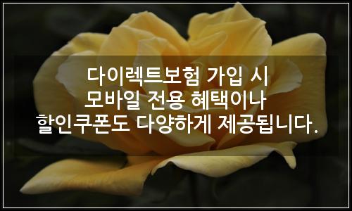 오늘의 이미지