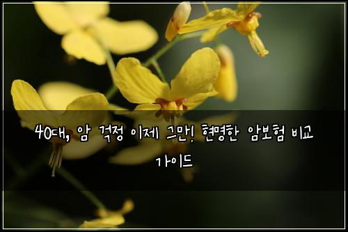 40대, 암 걱정 이제 그만! 현명한 암보험 비교 가이드