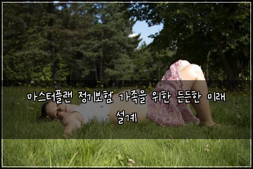 마스터플랜 정기보험: 가족을 위한 든든한 미래 설계