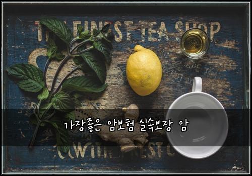가장좋은 암보험 실속보장  암