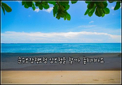 순수보장형보험 암보험을 할까 놓치지마요