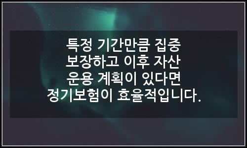 오늘의 이미지