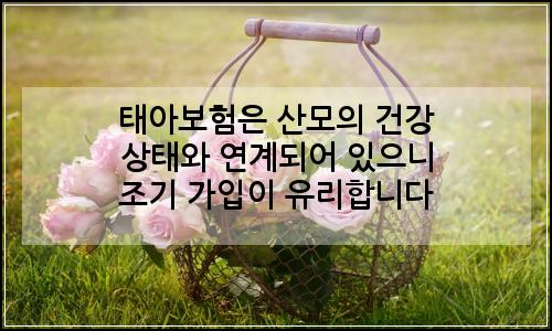 오늘의 이미지