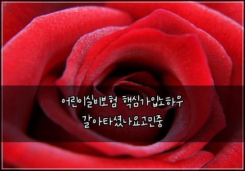 어린이실비보험 핵심가입노하우  갈아타셨나요고민중
