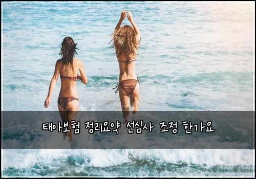νμ보ν μ 리μμ½ μ μ¬μ¬ μ‘°μ νκ°μ