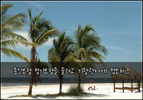종신보험 정기보험을 들려고 기왕력자에 정보체크