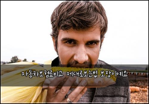 ์๋์ฐจ๋ณดํ๋ฃ๋น๊ต ์ ๋๋ก๋ณด๋๋ฒ ๋ณด์ฅ์ด์์