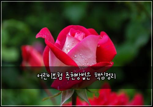어린이보험 추천방법은  핵심정리