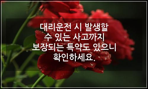 오늘의 이미지