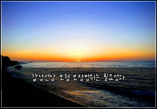 κ°μμ μ 보ν 보μ₯λ²μλ νμμ±κ³Ό