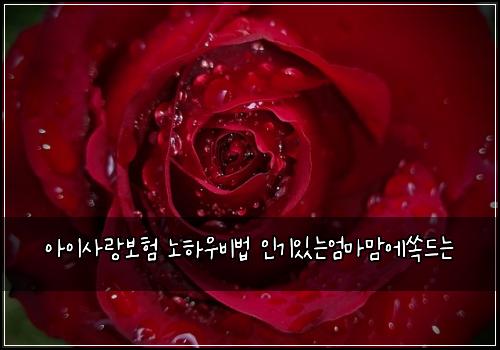 아이사랑보험 노하우비법  인기있는엄마맘에쏙드는