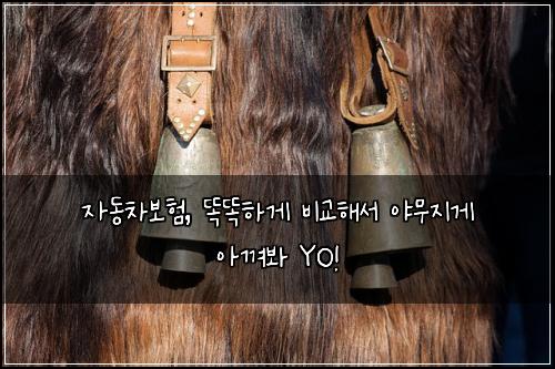 자동차보험, 똑똑하게 비교해서 야무지게 아껴봐 YO!