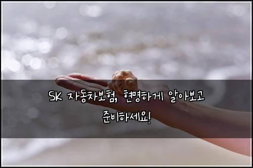 SK 자동차보험, 현명하게 알아보고 준비하세요!