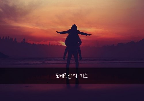 도베르만의 키스