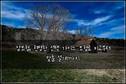 암보험, 현명한 선택 가이드: 보험료 비교부터 맞춤 설계까지