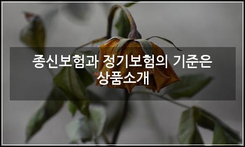 오늘의 이미지