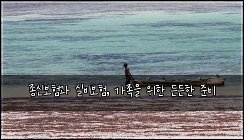 종신보험과 실비보험, 가족을 위한 든든한 준비